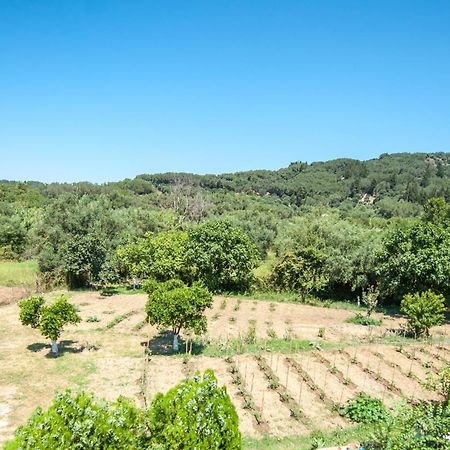 Vassilis Paradise Garden Aparthotel Agios Georgios Pagon Dış mekan fotoğraf