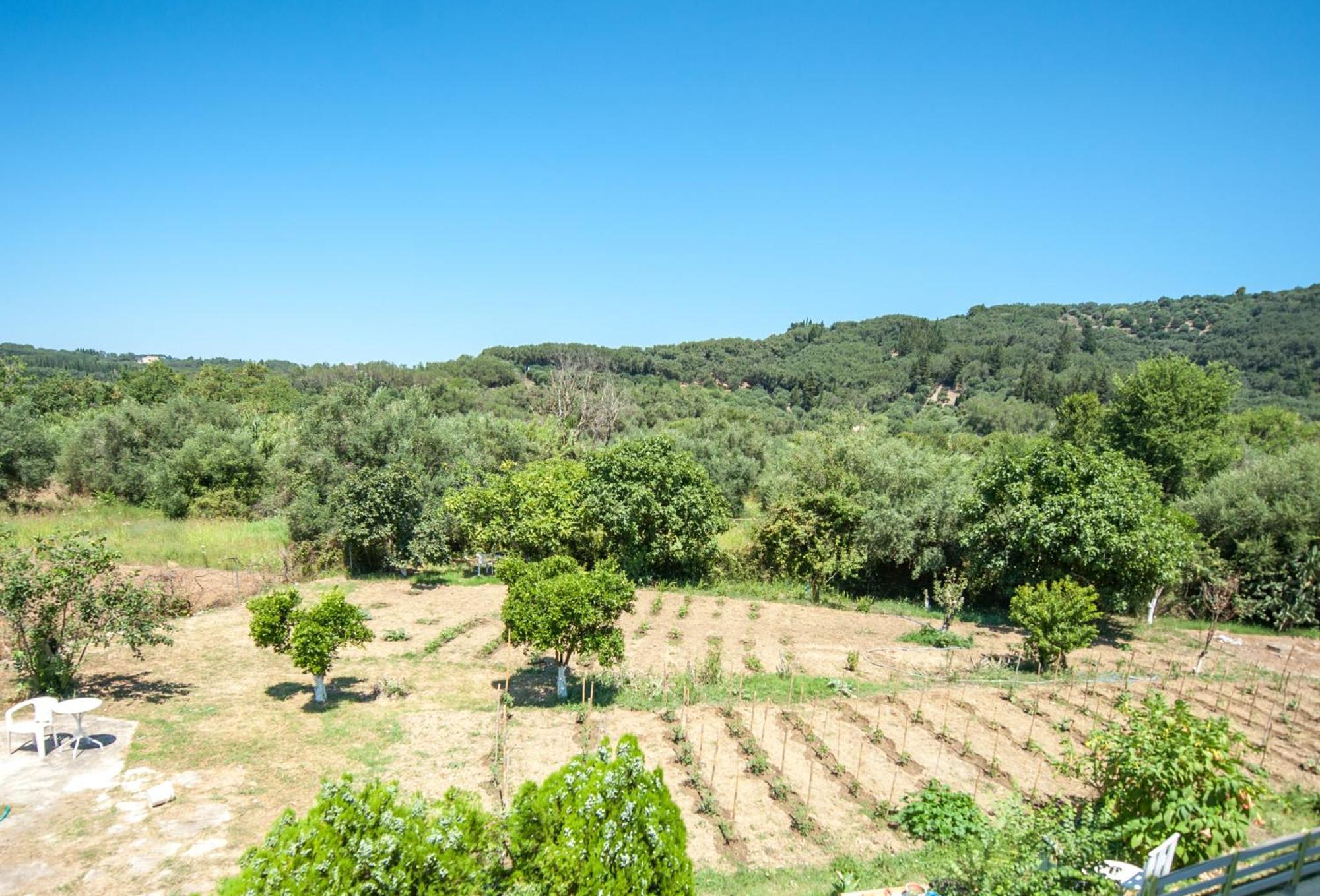 Vassilis Paradise Garden Aparthotel Agios Georgios Pagon Dış mekan fotoğraf